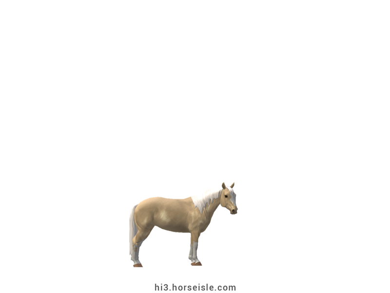 South African Miniature Horse Blonde Palomino Sabino Coat